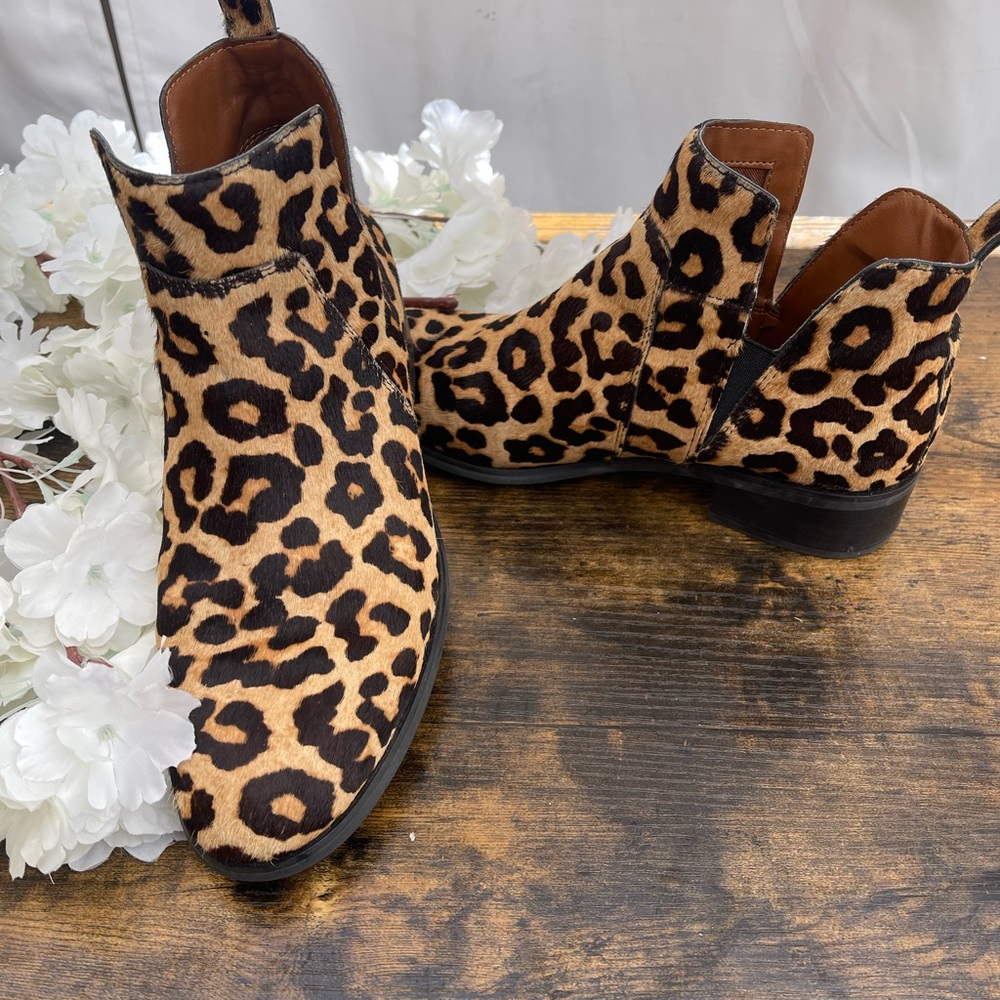 Franco Sarto Brown and Black Ankle Boots with Classic Silhouette